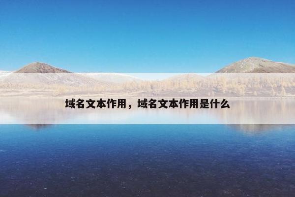 域名文本作用，域名文本作用是什么