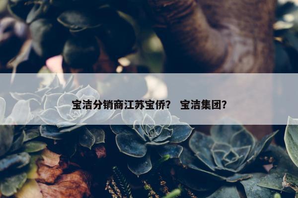 宝洁分销商江苏宝侨？ 宝洁集团？