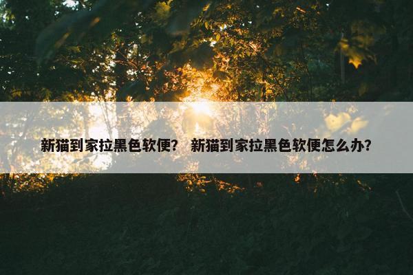 新猫到家拉黑色软便？ 新猫到家拉黑色软便怎么办？