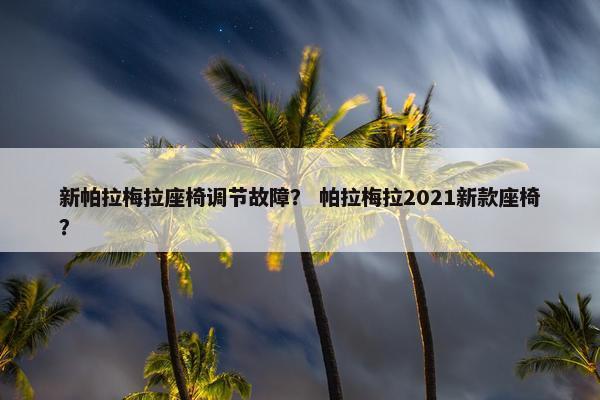 新帕拉梅拉座椅调节故障？ 帕拉梅拉2021新款座椅？