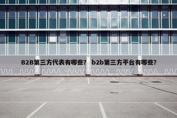 B2B第三方代表有哪些？ b2b第三方平台有哪些？