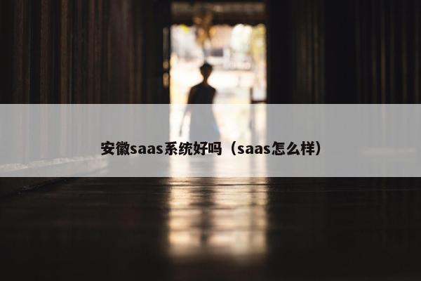 安徽saas系统好吗（saas怎么样）