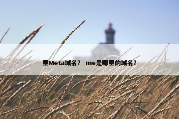 里Meta域名？ me是哪里的域名？