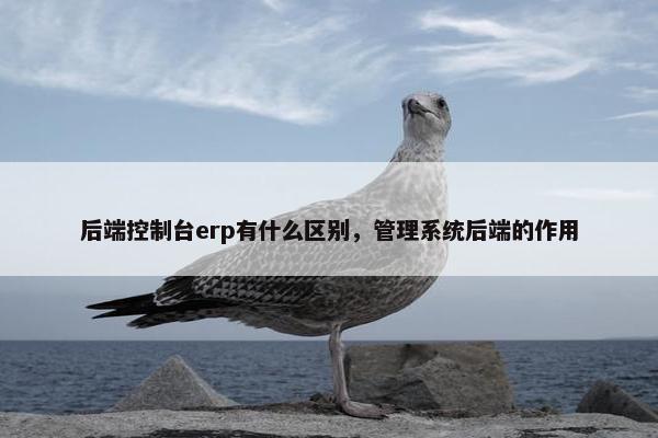 后端控制台erp有什么区别，管理系统后端的作用
