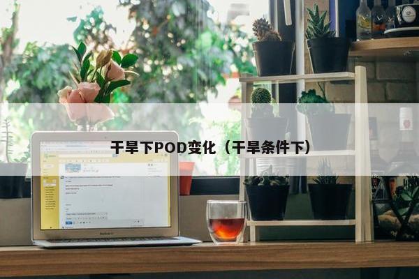 干旱下POD变化（干旱条件下）