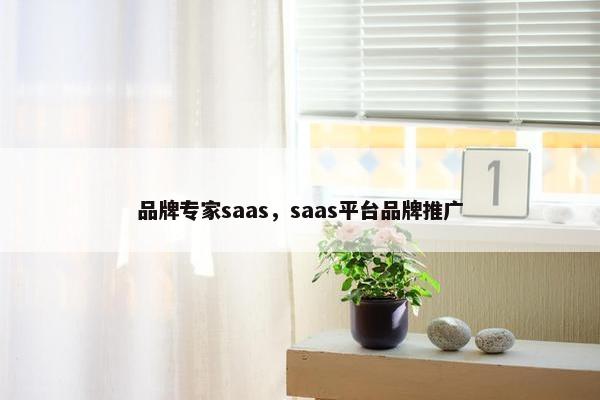 品牌专家saas，saas平台品牌推广