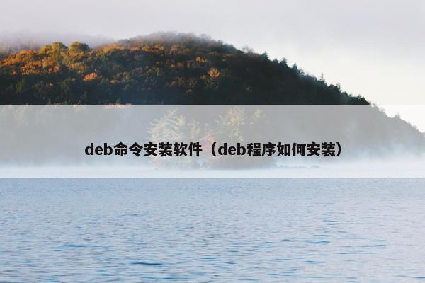 deb命令安装软件（deb程序如何安装）