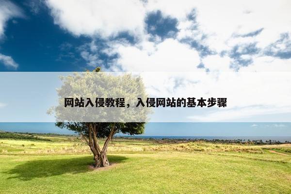 网站入侵教程，入侵网站的基本步骤