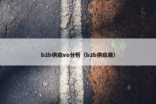 b2b供应vo分析（b2b供应商）