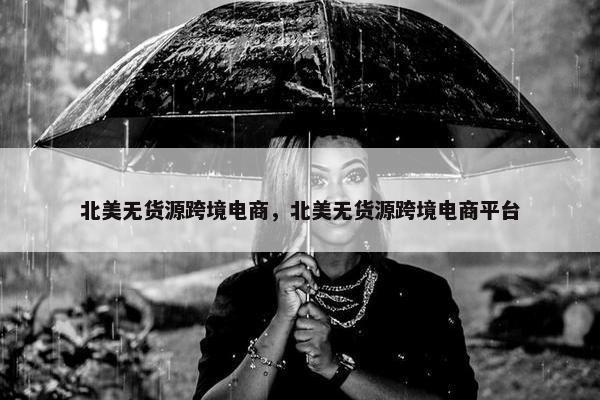 北美无货源跨境电商，北美无货源跨境电商平台