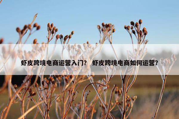 虾皮跨境电商运营入门？ 虾皮跨境电商如何运营？