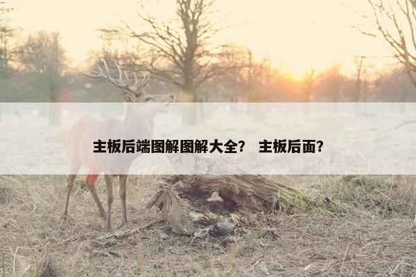 主板后端图解图解大全？ 主板后面？