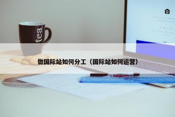 做国际站如何分工（国际站如何运营）