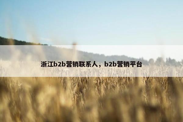 浙江b2b营销联系人，b2b营销平台