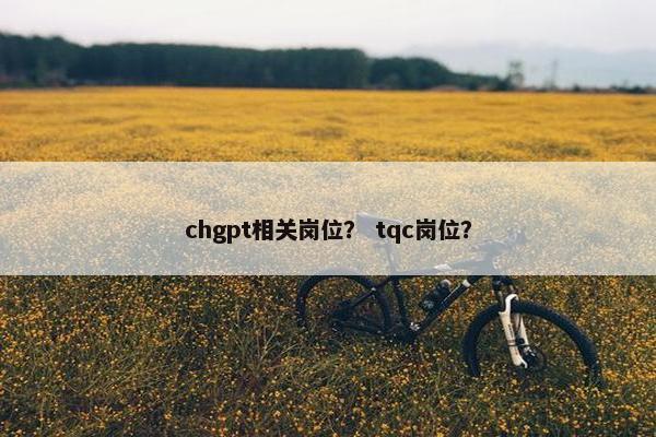 chgpt相关岗位? tqc岗位?
