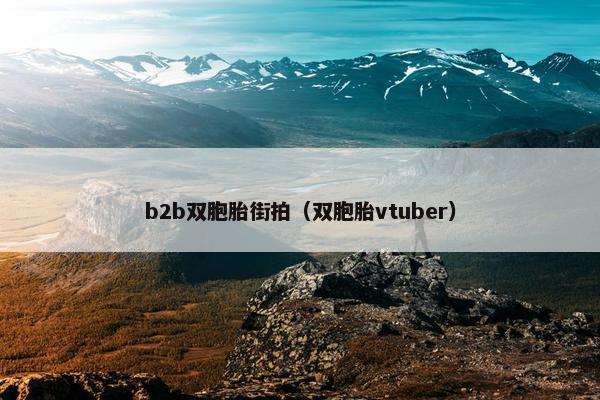 b2b双胞胎街拍（双胞胎vtuber）