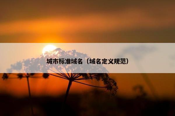 城市标准域名（域名定义规范）