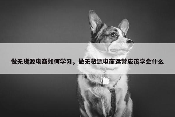 做无货源电商如何学习，做无货源电商运营应该学会什么
