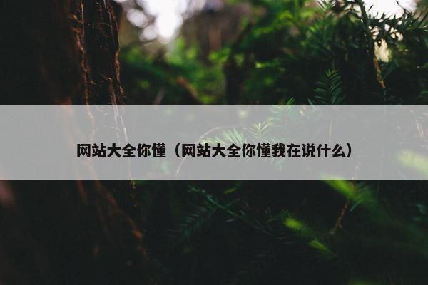 网站大全你懂（网站大全你懂我在说什么）