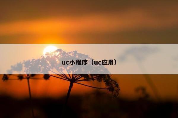 uc小程序（uc应用）