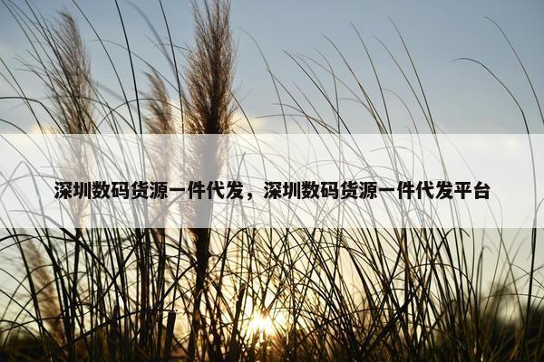 深圳数码货源一件代发，深圳数码货源一件代发平台