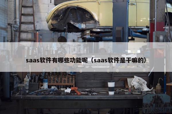 saas软件有哪些功能呢（saas软件是干嘛的）