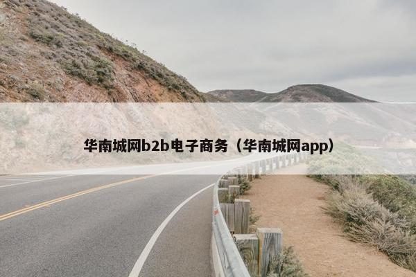 华南城网b2b电子商务（华南城网app）