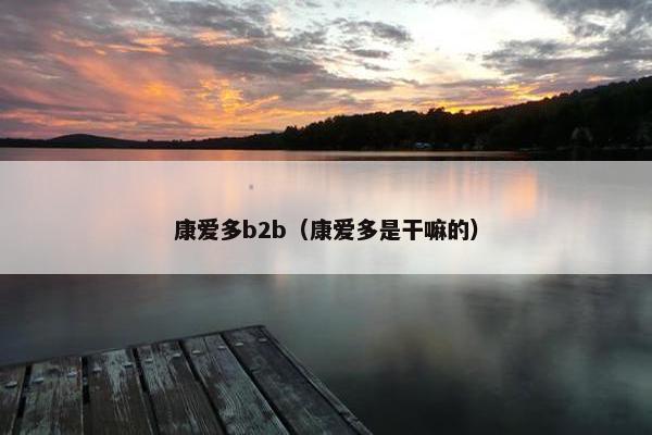 康爱多b2b（康爱多是干嘛的）