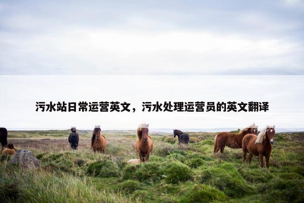 污水站日常运营英文，污水处理运营员的英文翻译