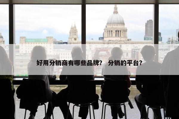 好用分销商有哪些品牌？ 分销的平台？