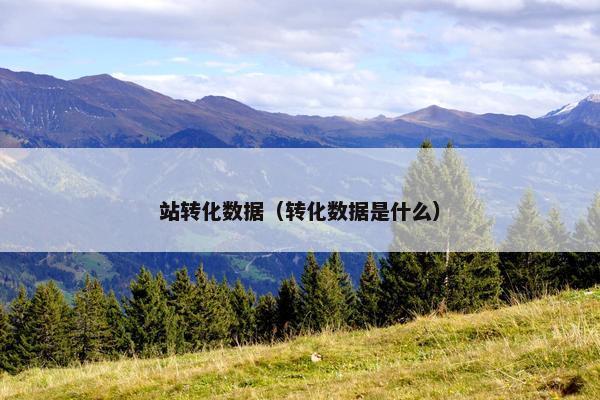 站转化数据（转化数据是什么）