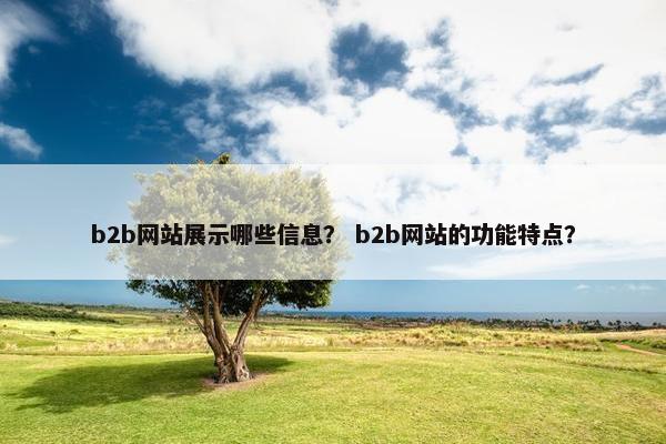 b2b网站展示哪些信息？ b2b网站的功能特点？