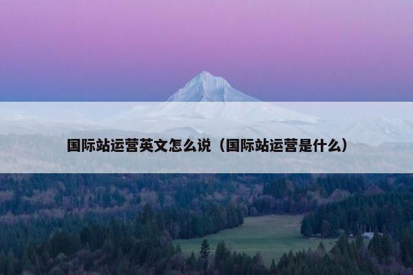 国际站运营英文怎么说（国际站运营是什么）