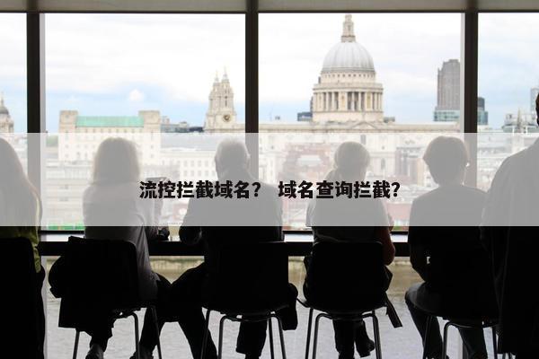 流控拦截域名？ 域名查询拦截？