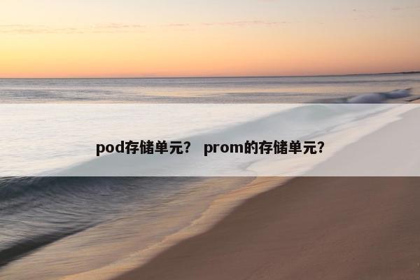 pod存储单元？ prom的存储单元？