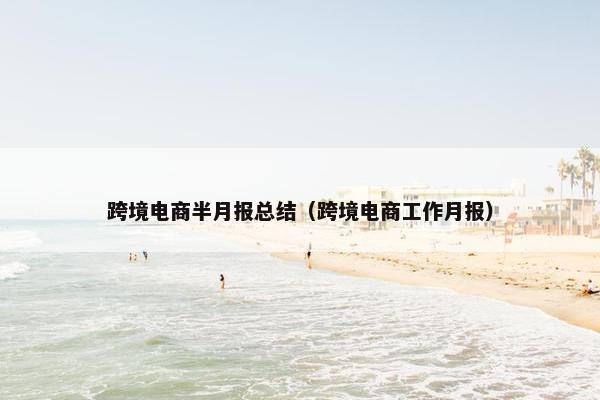 跨境电商半月报总结（跨境电商工作月报）