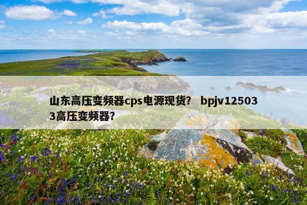 山东高压变频器cps电源现货？ bpjv125033高压变频器？