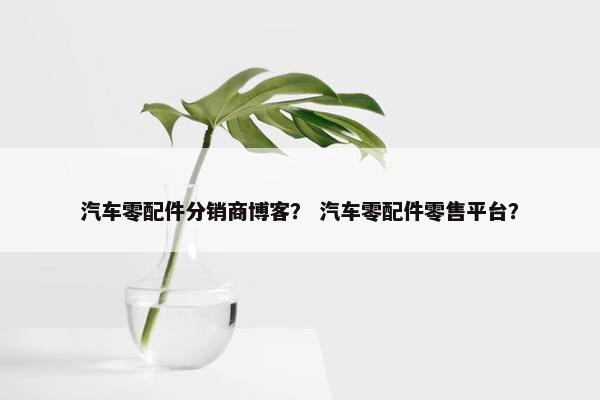汽车零配件分销商博客？ 汽车零配件零售平台？