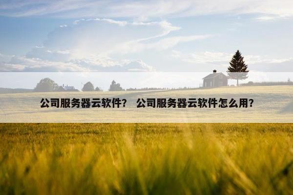 公司服务器云软件？ 公司服务器云软件怎么用？