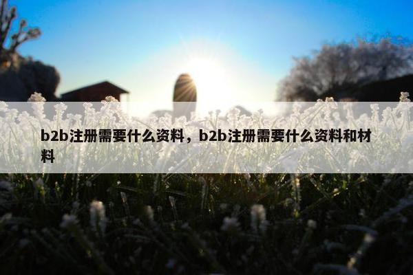 b2b注册需要什么资料，b2b注册需要什么资料和材料