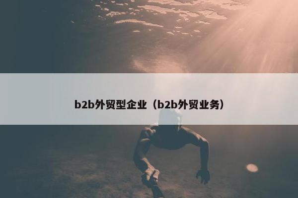 b2b外贸型企业（b2b外贸业务）