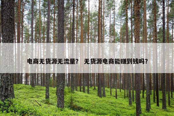 电商无货源无流量？ 无货源电商能赚到钱吗？