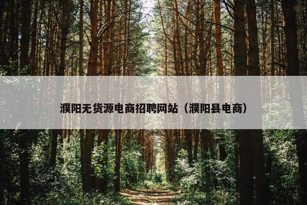 濮阳无货源电商招聘网站(濮阳县电商)