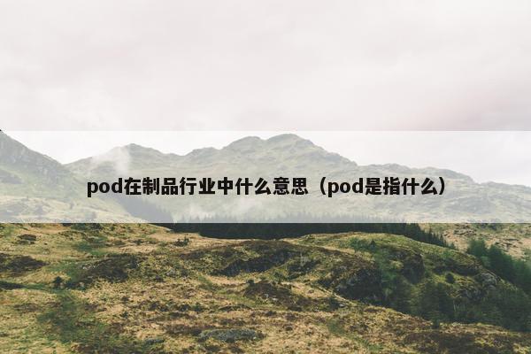 pod在制品行业中什么意思（pod是指什么）