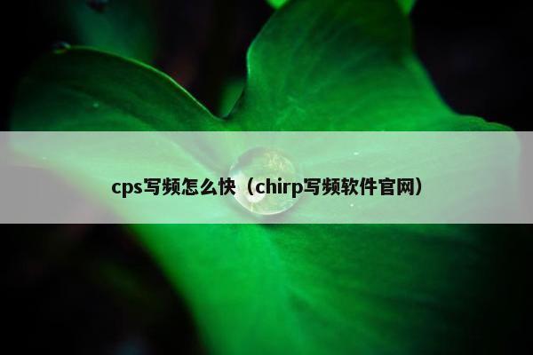 cps写频怎么快（chirp写频软件官网）