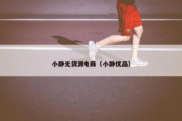 小静无货源电商（小静优品）