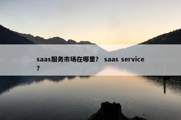 saas服务市场在哪里？ saas service？