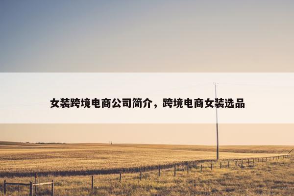 女装跨境电商公司简介,跨境电商女装选品