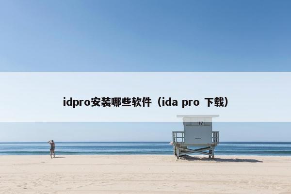idpro安装哪些软件(ida pro 下载)