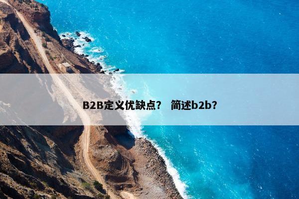 B2B定义优缺点？ 简述b2b？
